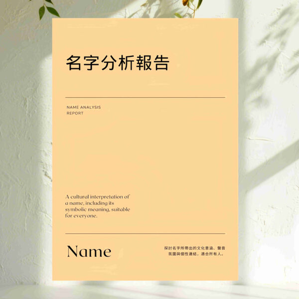 H65 名字分析報告