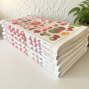 H071 Paper Model – Fruit & Grocery Shop